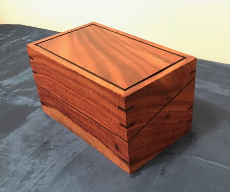 steph blackwood teabox
